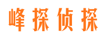 灞桥市调查公司